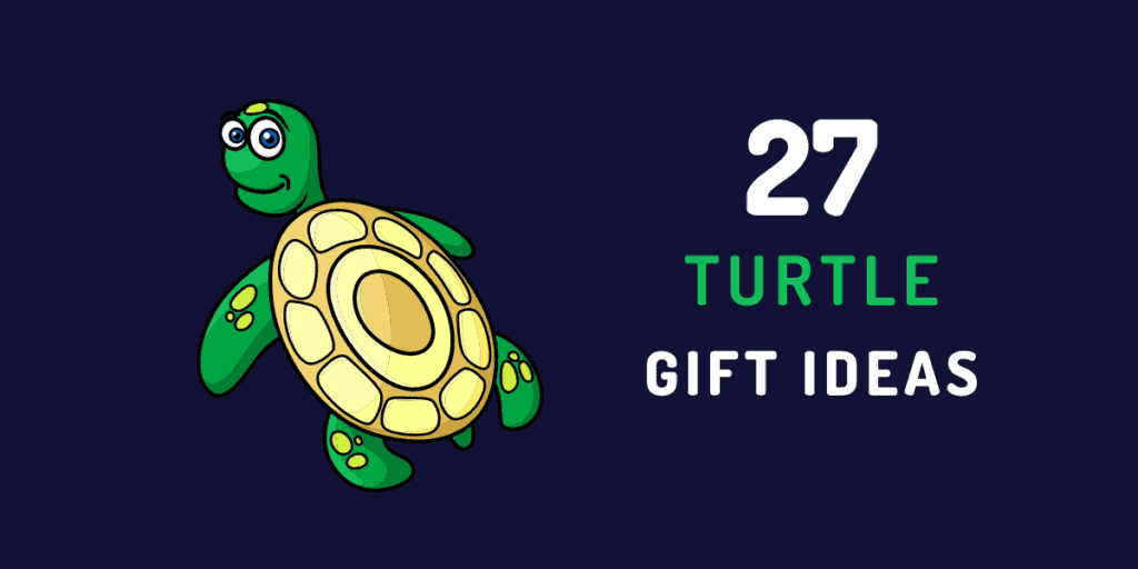 turtle gift ideas